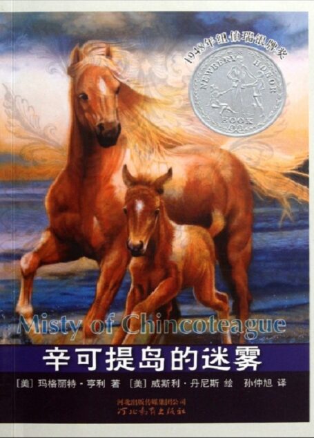 辛可提岛的迷雾