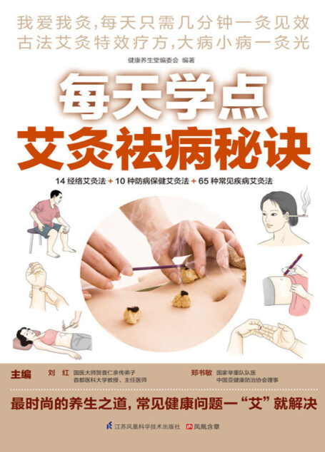 每天学点艾灸祛病秘诀 (最时尚的养生之道,常见健康问题一“艾”就解决)
