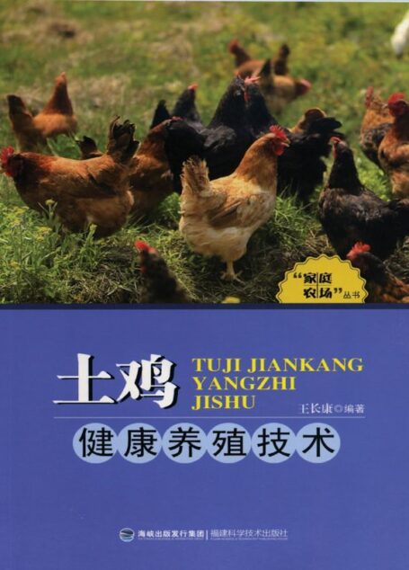 土鸡健康养殖技术