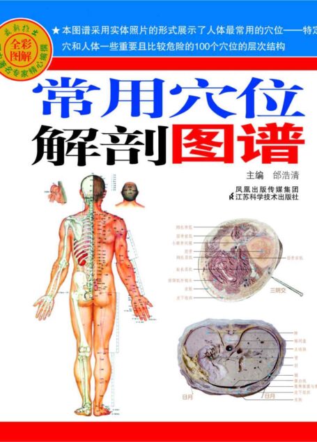 常用穴位解剖图谱(全彩图解)