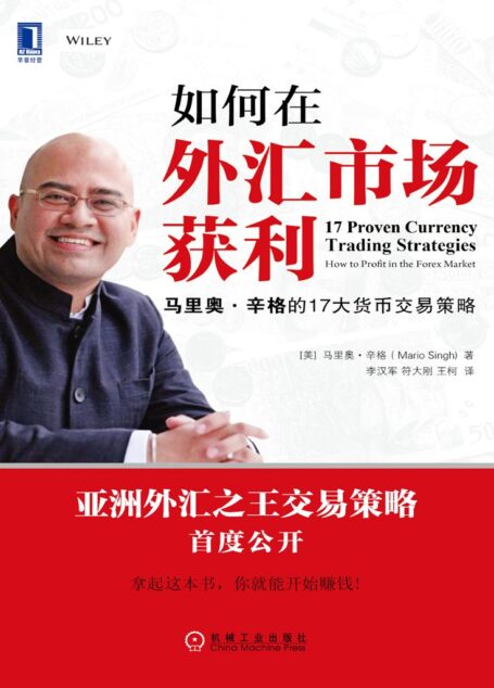 如何在外汇市场获利:马里奥·辛格的17大货币交易策略
