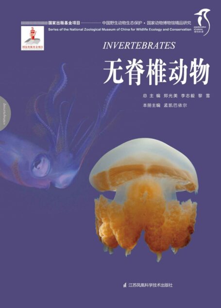 国家动物博物馆精品研究——无脊椎动物 (中国野生动物生态保护 国家出版基金项目 理性科普)
