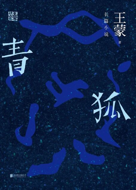 王蒙精选集:青狐