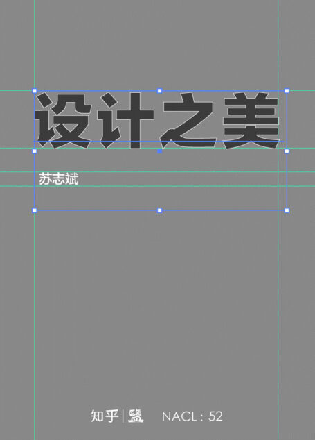 设计之美:知乎苏志斌自选集 (知乎「盐」系列)