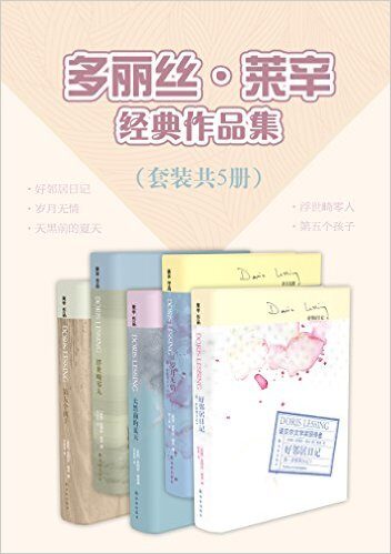 多丽丝·莱辛经典作品集(好邻居日记+岁月无情+天黑前的夏天+浮世畸零人+第五个孩子)(套装共5册)