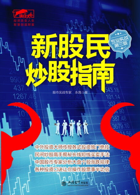 新股民炒股指南 (擒住大牛)