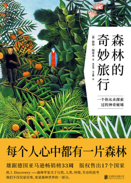 森林的奇妙旅行(荒野求生文艺版 )