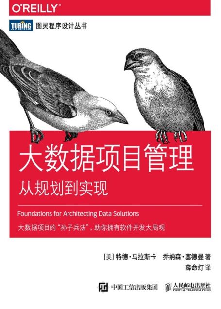 大数据项目管理:从规划到实现