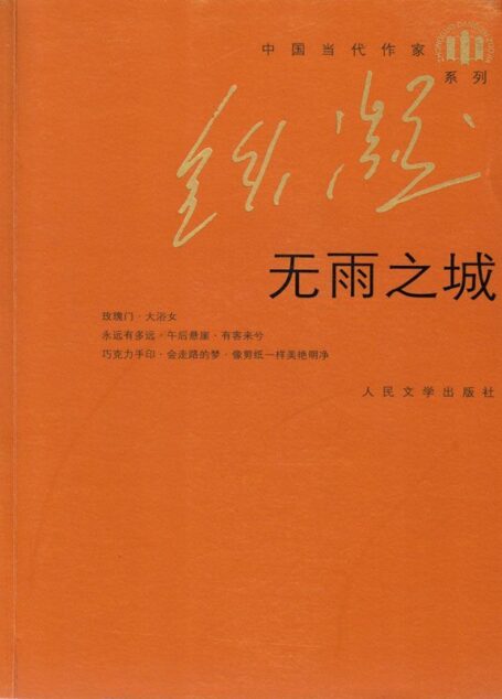 无雨之城 (中国当代作家·铁凝系列)