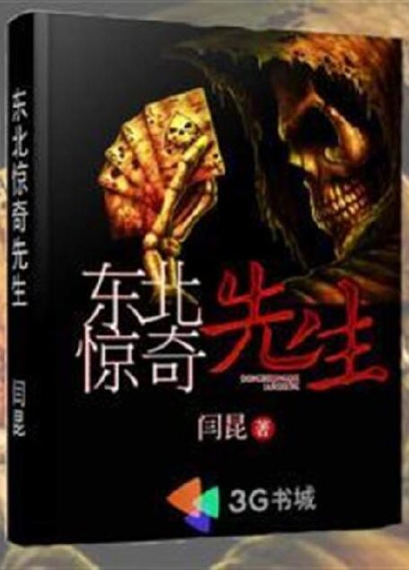 东北惊奇先生