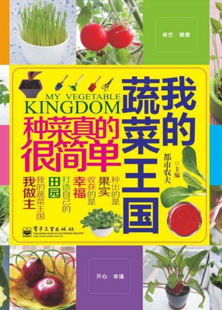 我的蔬菜王国