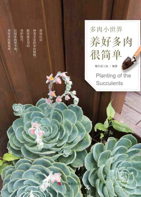 多肉小世界:养好多肉很简单
