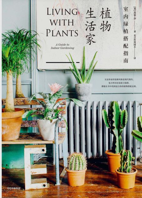 植物生活家:室内绿植搭配指南
