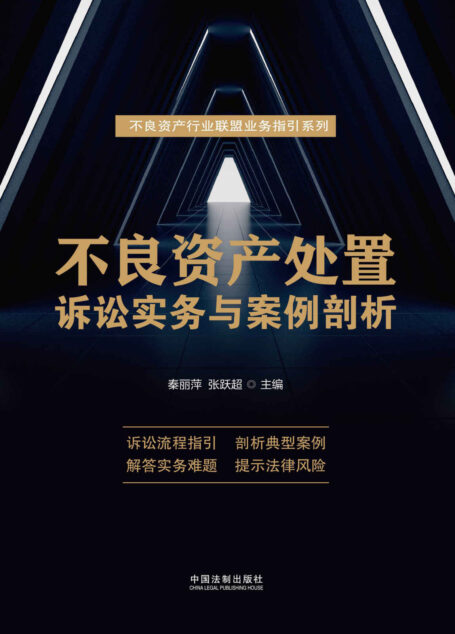 不良资产处置诉讼实务与案例剖析 (不良资产行业联盟业务指引系列)
