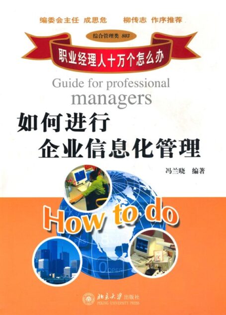 职业经理人十万个怎么办:如何进行企业信息化管理 (职业经理人十万个怎么办·综合管理类:803)