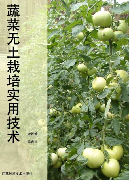 蔬菜无土栽培实用技术