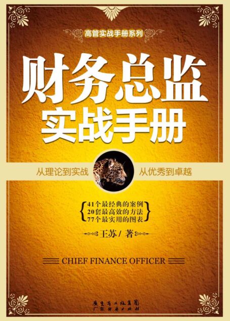 财务总监实战手册 (高管实践手册系列)