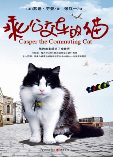 乘公交车的猫
