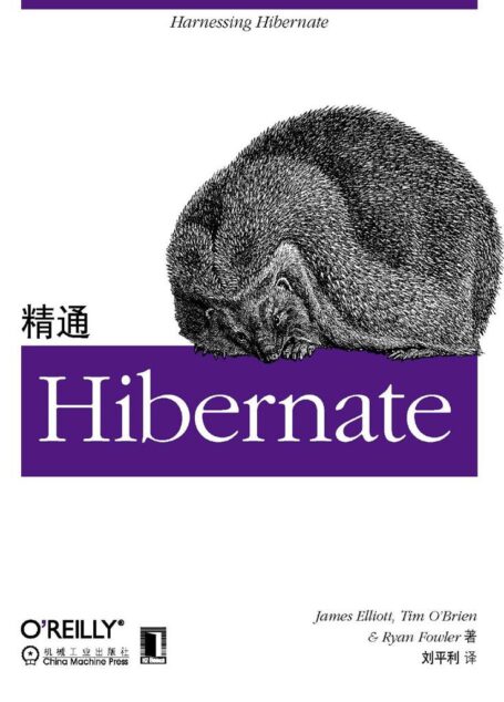 精通Hibernate (O’reilly精品图书系列)