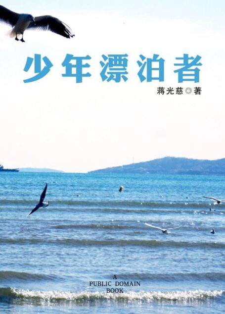 少年漂泊者