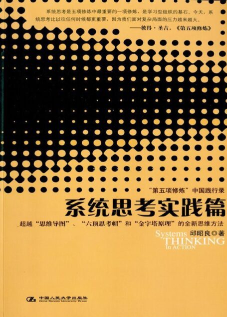系统思考实践篇 (湛庐文化•财富汇)
