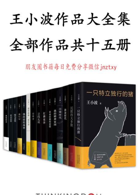 王小波作品大全集