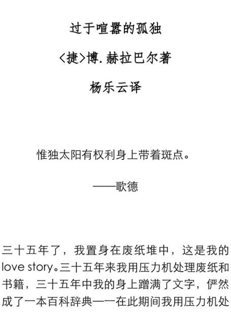 过于喧嚣的孤独-4c35