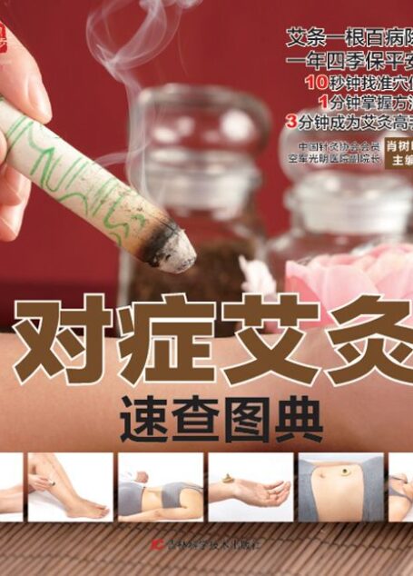 对症艾灸速查图典