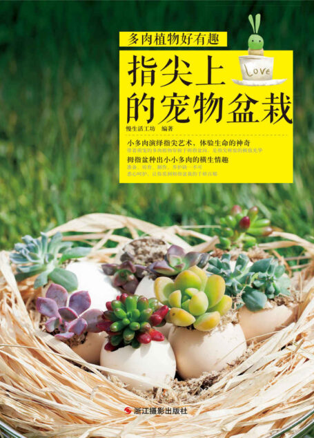 多肉植物好有趣:尖上的宠物盆栽