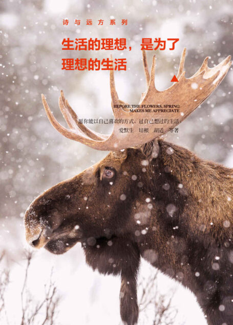 生活的理想,是为了理想的生活 (诗与远方系列)