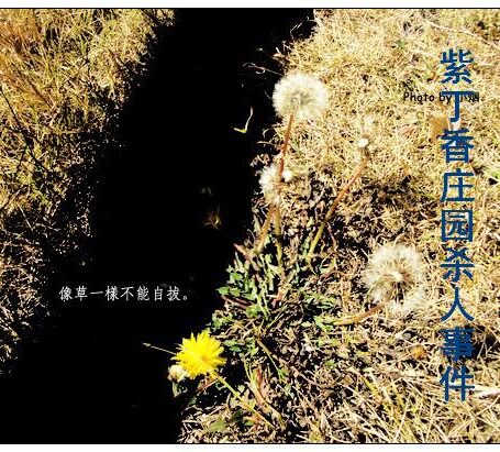 紫丁香庄园杀人事件
