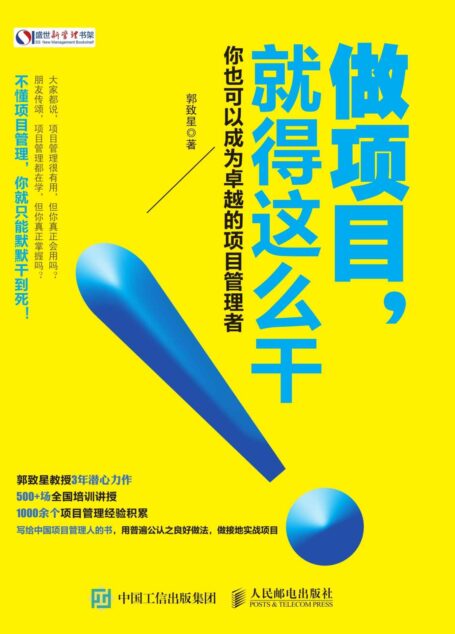 做项目,就得这么干! (盛世新管理书架)