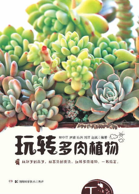 玩转多肉植物