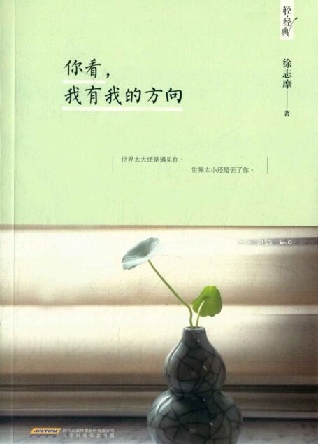 你看,我有我的方向 (轻经典)