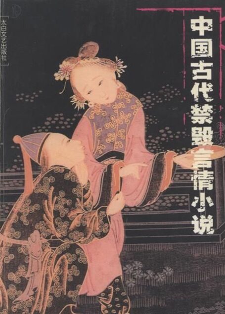 中国古代禁毁言情小说(套装共18册)