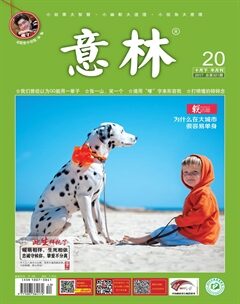 意林(2017年20期)