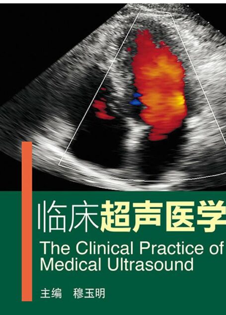 临床超声医学实践