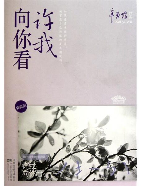 许我向你看