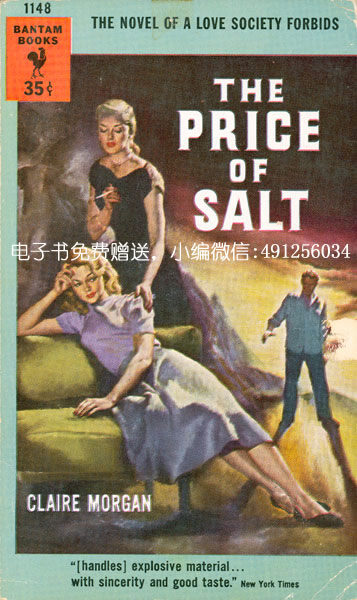 盐的代价(卡罗尔电影原著小说)