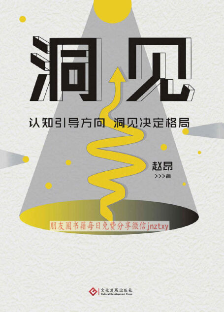 洞见