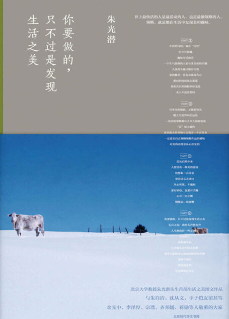 你要做的,只不过是发现生活之美