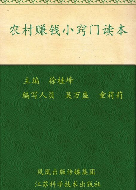 农村赚钱小窍门读本 (金阳光新农村丛书)