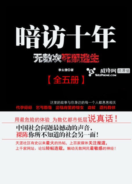《暗访十年(全五册)》