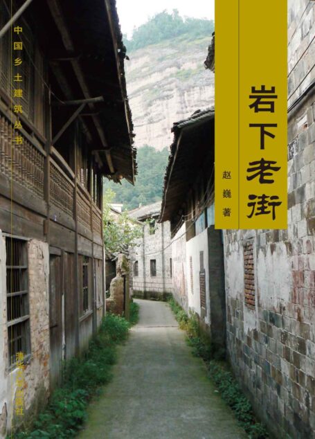 岩下老街 (中国乡土建筑丛书)