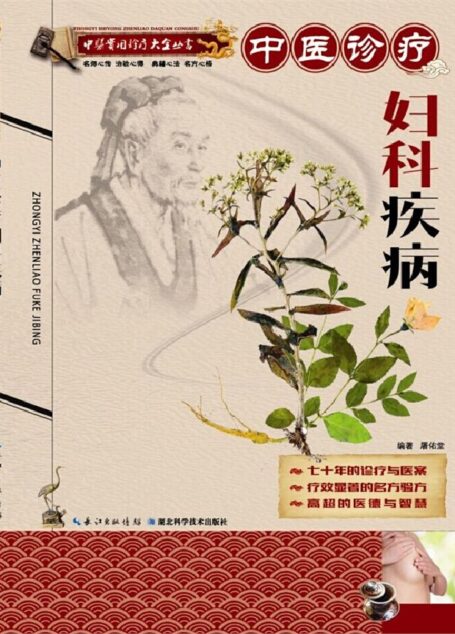 中医实用诊疗大全丛书:中医诊疗妇科疾病