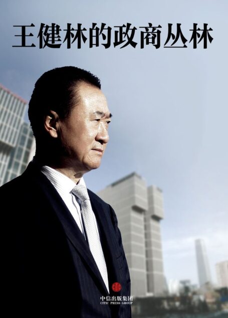 王健林的政商丛林(中国首富不一样的人生) (中国故事)