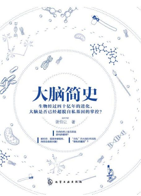 大脑简史