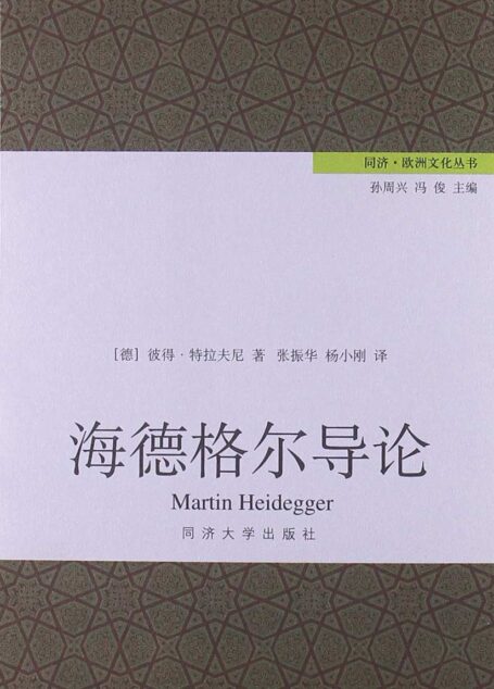 海德格尔导论 (同济•欧洲文化丛书)