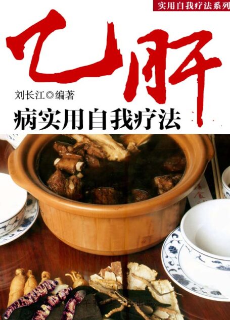 乙肝病实用自我疗法 (实用自我疗法系列)