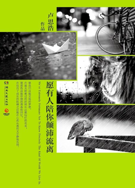 愿有人陪你颠沛流离 (卢思浩治愈系列)